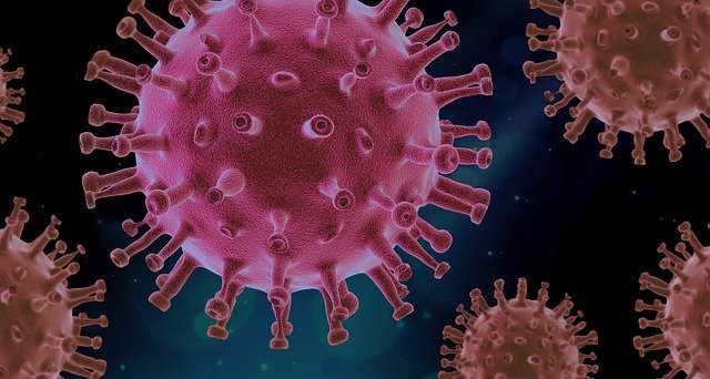 virus covidu-19